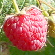 Produktvisuals